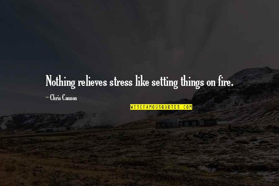 Washier Quotes By Chris Cannon: Nothing relieves stress like setting things on fire.