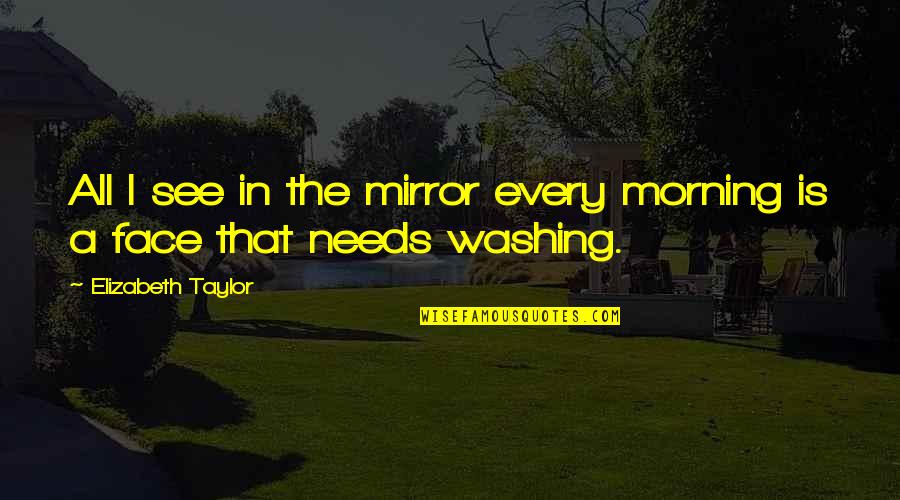 Washing Your Face Quotes By Elizabeth Taylor: All I see in the mirror every morning