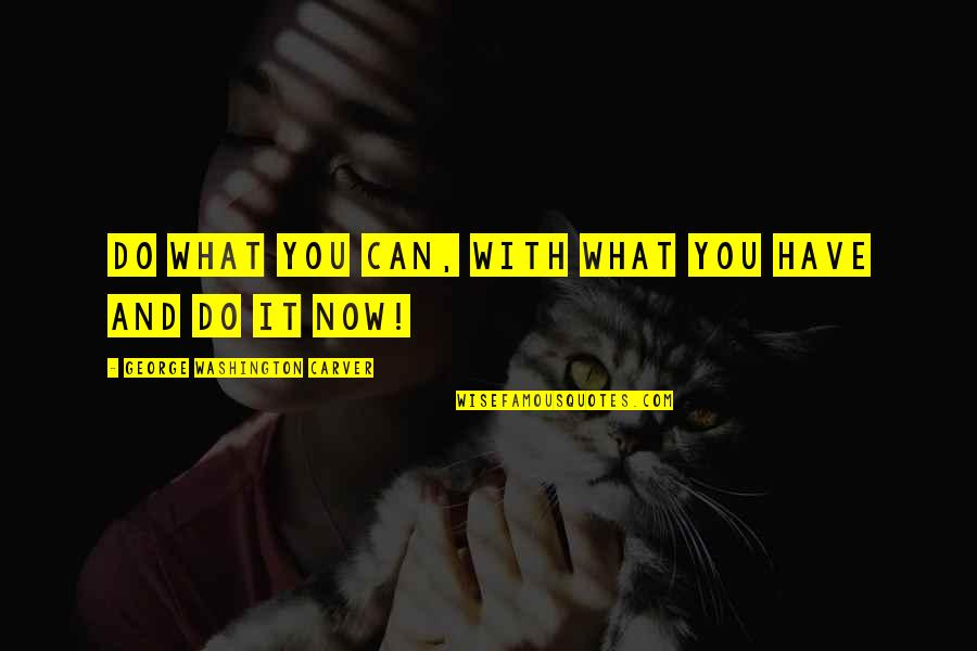 Washington Carver Quotes By George Washington Carver: Do what you can, with what you have