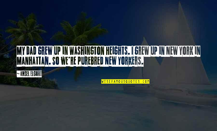 Washington Heights Quotes By Ansel Elgort: My dad grew up in Washington Heights. I