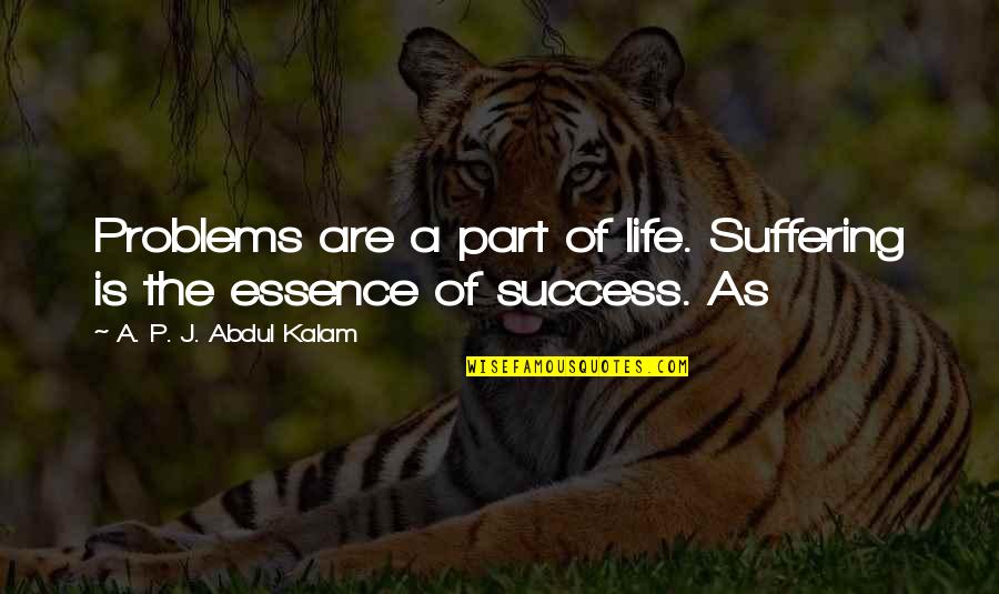 Wasker Quotes By A. P. J. Abdul Kalam: Problems are a part of life. Suffering is