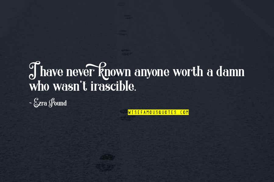 Wasn't Worth It Quotes By Ezra Pound: I have never known anyone worth a damn