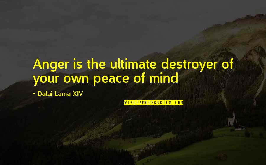Wasowski Senator Quotes By Dalai Lama XIV: Anger is the ultimate destroyer of your own