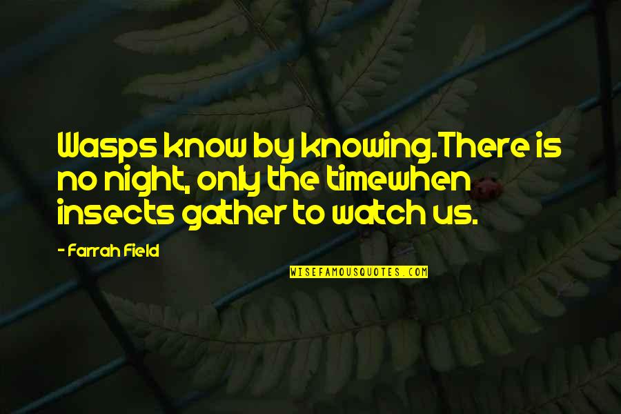 Wasps Quotes By Farrah Field: Wasps know by knowing.There is no night, only Wasps Quotes By Farrah Field: Wasps know by knowing.There is no night, only