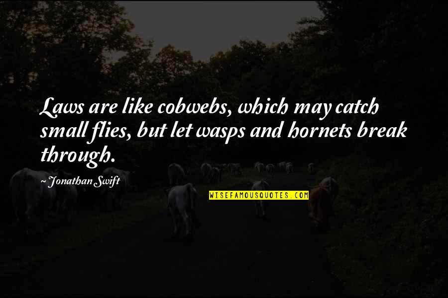 Wasps Quotes By Jonathan Swift: Laws are like cobwebs, which may catch small Wasps Quotes By Jonathan Swift: Laws are like cobwebs, which may catch small
