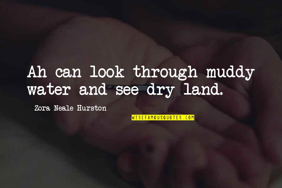 Wassimos Quotes By Zora Neale Hurston: Ah can look through muddy water and see Wassimos Quotes By Zora Neale Hurston: Ah can look through muddy water and see