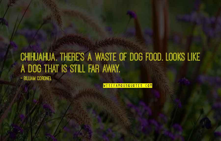 Waste Food Quotes By Billiam Coronel: Chihuahua. There's a waste of dog food. Looks