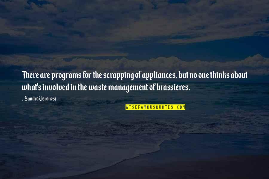 Waste Management Quotes By Sandro Veronesi: There are programs for the scrapping of appliances,