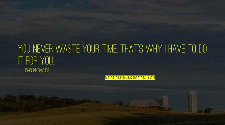 Waste Of Time Friendship Quotes By John Knowles: You never waste your time. That's why I