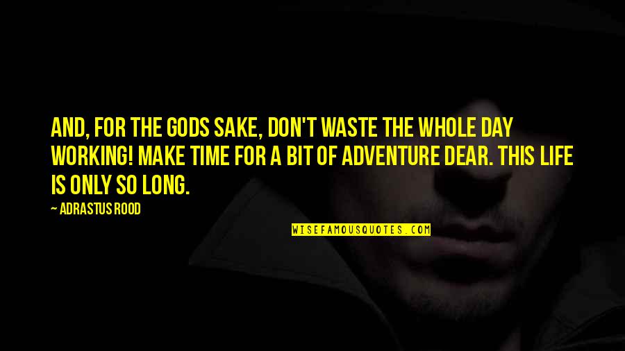 Waste Of Time Waste Of Life Quotes By Adrastus Rood: And, for the gods sake, don't waste the