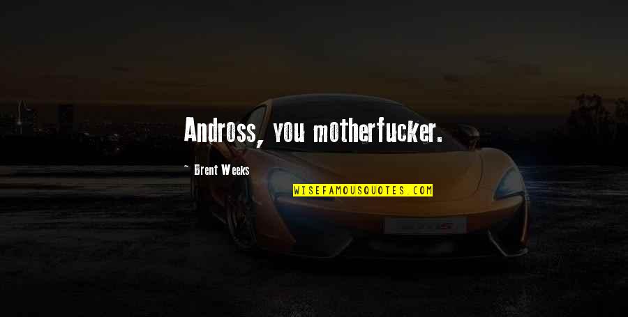 Waste Paper Quotes By Brent Weeks: Andross, you motherfucker. Waste Paper Quotes By Brent Weeks: Andross, you motherfucker.