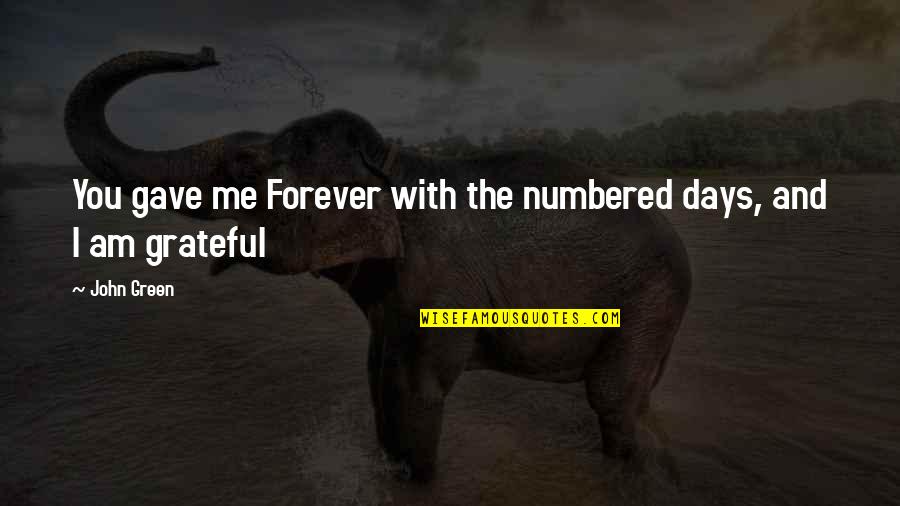 Wasted Education Quotes By John Green: You gave me Forever with the numbered days,