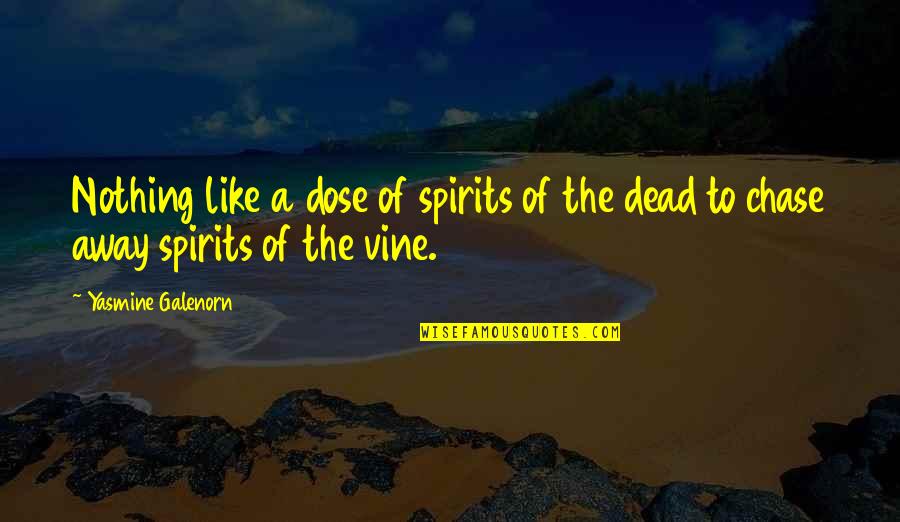 Wasted Opportunity Quotes By Yasmine Galenorn: Nothing like a dose of spirits of the