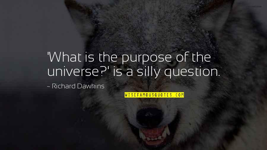 Wasted Time Energy Quotes By Richard Dawkins: 'What is the purpose of the universe?' is