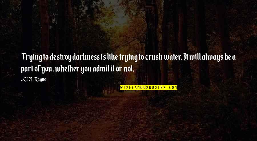 Wastefulness In America Quotes By C.M. Rayne: Trying to destroy darkness is like trying to Wastefulness In America Quotes By C.M. Rayne: Trying to destroy darkness is like trying to