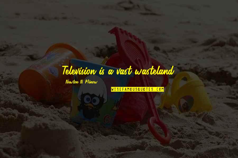 Wasteland Quotes By Newton N. Minow: Television is a vast wasteland.