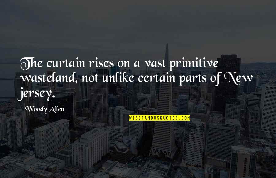 Wasteland Quotes By Woody Allen: The curtain rises on a vast primitive wasteland,