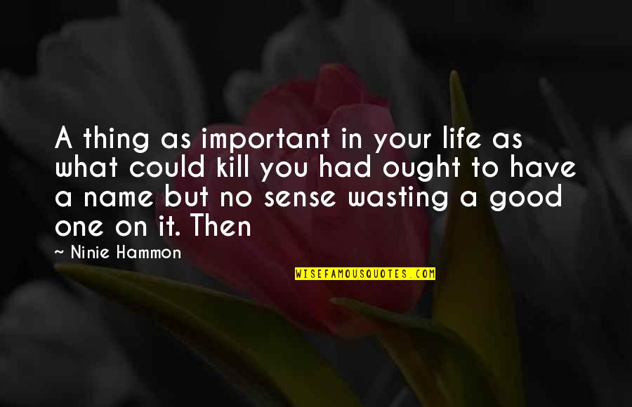 Wasting A Life Quotes By Ninie Hammon: A thing as important in your life as
