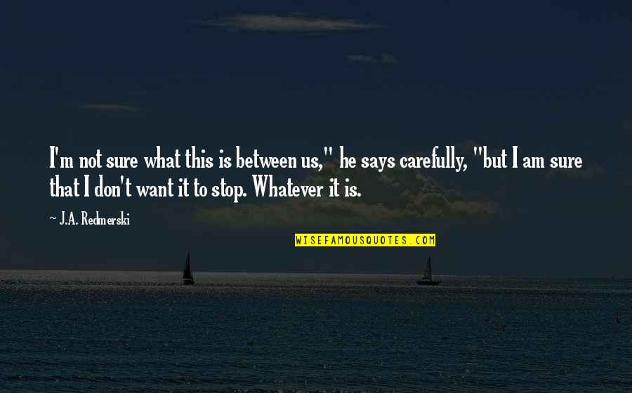 Wasting Time On Friends Quotes By J.A. Redmerski: I'm not sure what this is between us,"