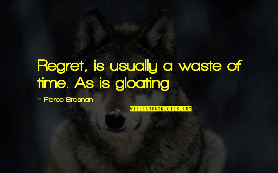 Wasting Time Quotes By Pierce Brosnan: Regret, is usually a waste of time. As