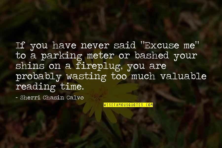 Wasting Your Time Quotes By Sherri Chasin Calvo: If you have never said "Excuse me" to