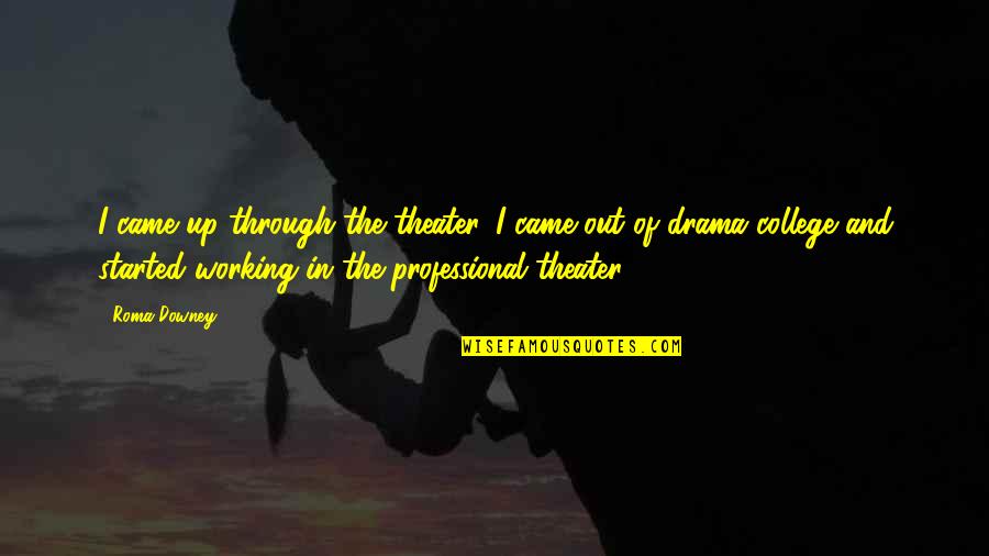 Watanabe Bakery Quotes By Roma Downey: I came up through the theater. I came Watanabe Bakery Quotes By Roma Downey: I came up through the theater. I came