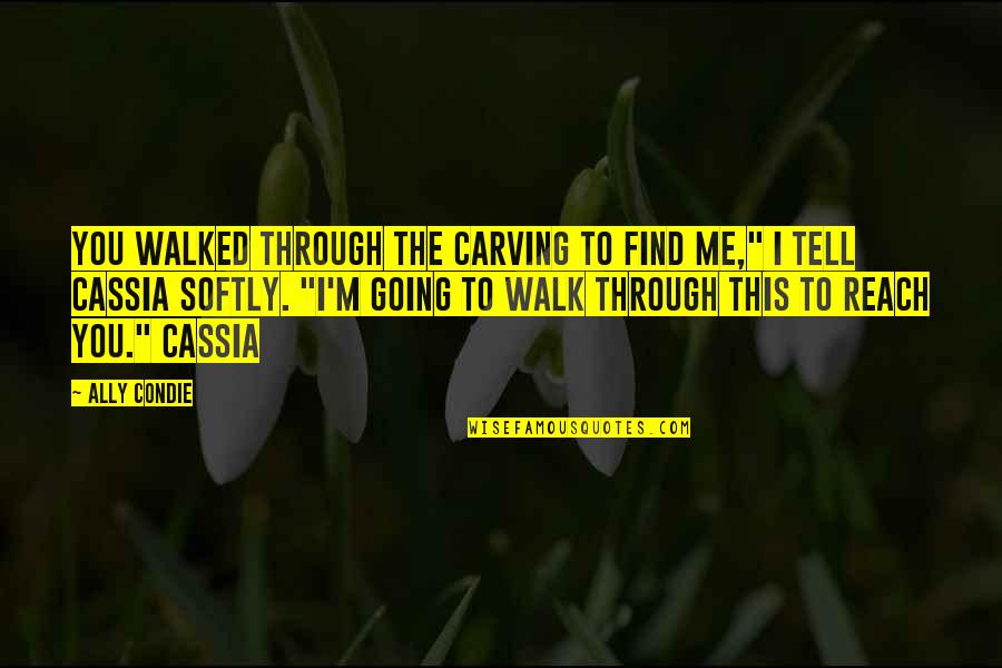 Watch Franklin Quotes By Ally Condie: You walked through the Carving to find me," Watch Franklin Quotes By Ally Condie: You walked through the Carving to find me,"