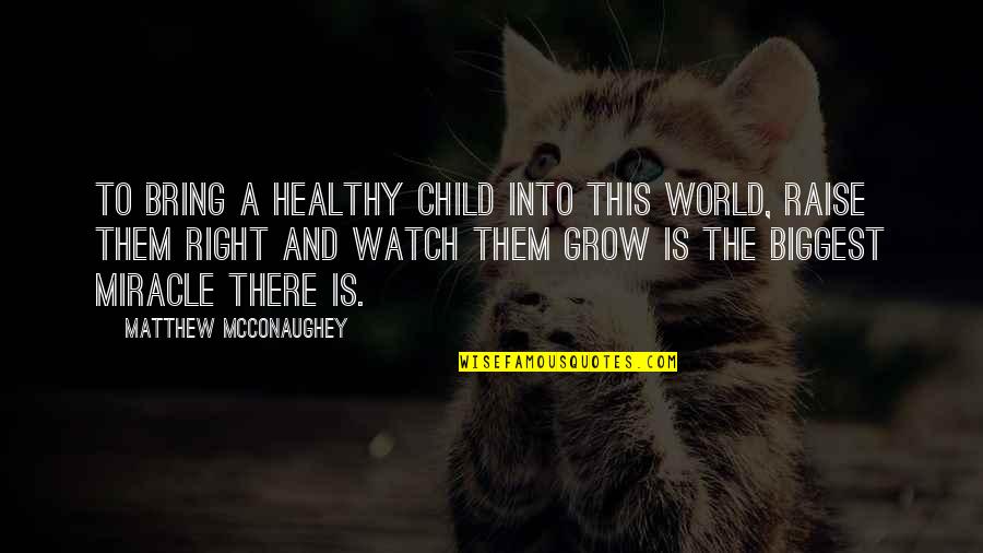 Watch Over My Child Quotes By Matthew McConaughey: To bring a healthy child into this world, Watch Over My Child Quotes By Matthew McConaughey: To bring a healthy child into this world,