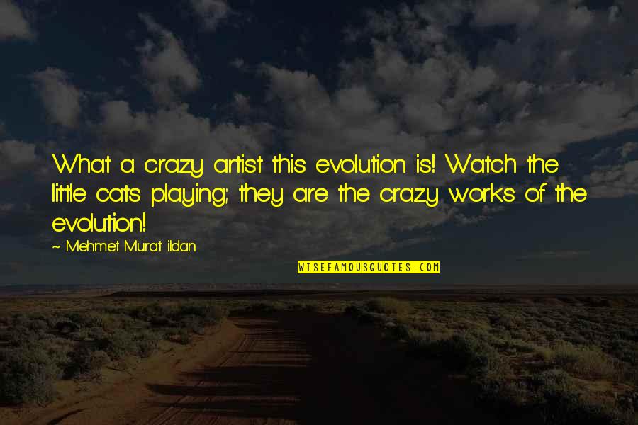 Watch This Quotes By Mehmet Murat Ildan: What a crazy artist this evolution is! Watch Watch This Quotes By Mehmet Murat Ildan: What a crazy artist this evolution is! Watch