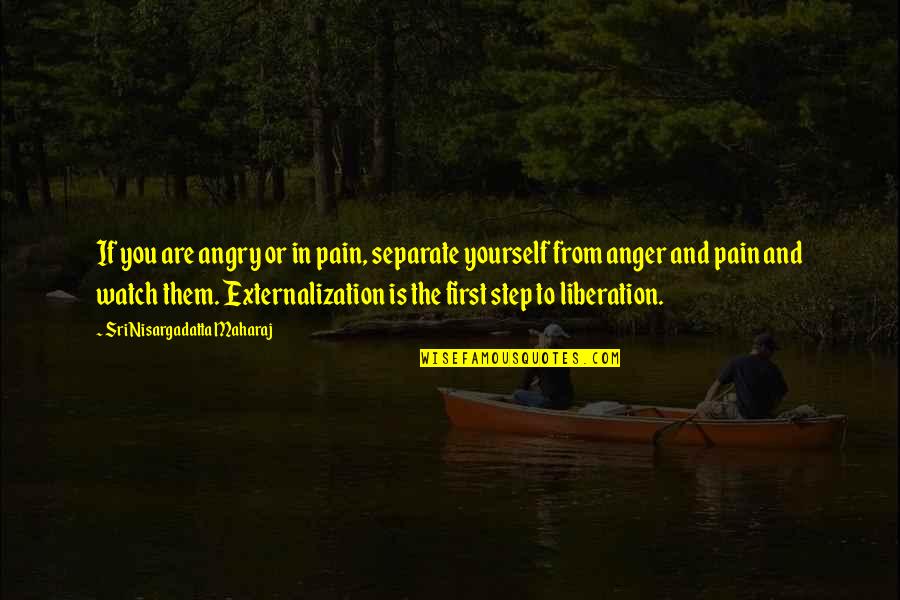Watch Yourself Quotes By Sri Nisargadatta Maharaj: If you are angry or in pain, separate
