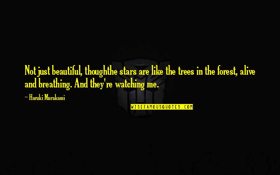 Watching Stars Quotes By Haruki Murakami: Not just beautiful, thoughthe stars are like the