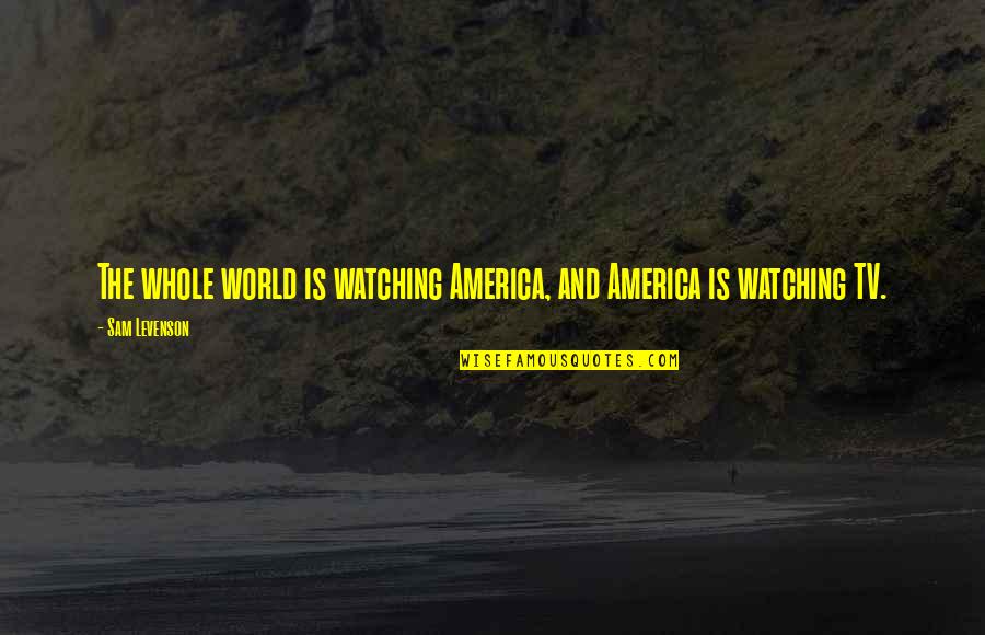 Watching The World Quotes By Sam Levenson: The whole world is watching America, and America