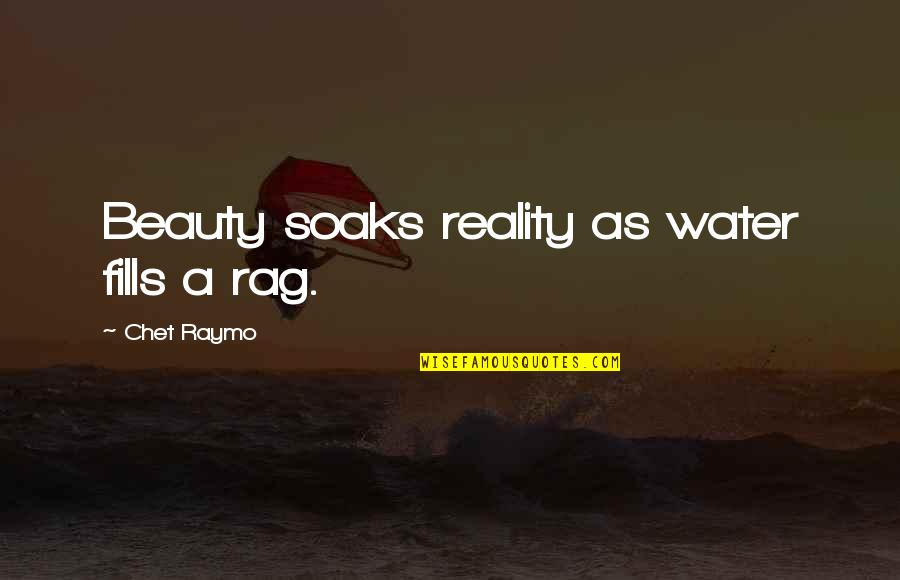 Water And Beauty Quotes By Chet Raymo: Beauty soaks reality as water fills a rag.