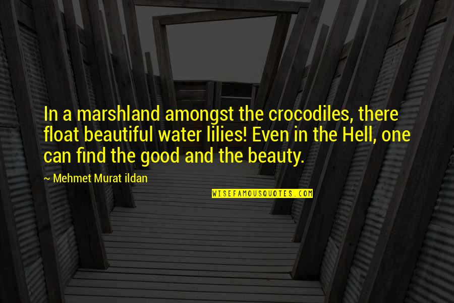 Water And Beauty Quotes By Mehmet Murat Ildan: In a marshland amongst the crocodiles, there float