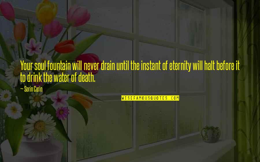 Water And Death Quotes By Sorin Cerin: Your soul fountain will never drain until the
