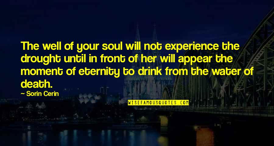Water And Death Quotes By Sorin Cerin: The well of your soul will not experience