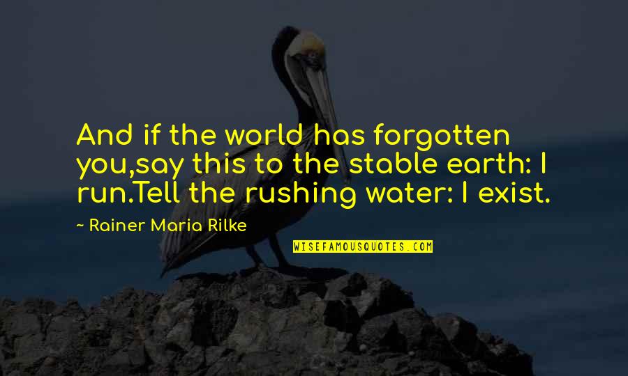 Water And Earth Quotes By Rainer Maria Rilke: And if the world has forgotten you,say this