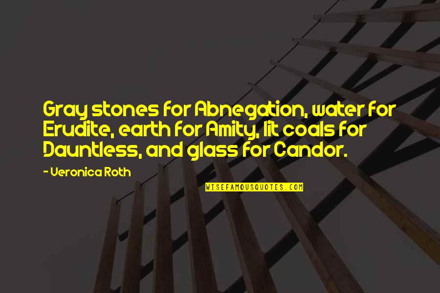 Water And Earth Quotes By Veronica Roth: Gray stones for Abnegation, water for Erudite, earth
