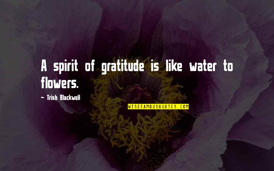 Water And Flowers Quotes By Trish Blackwell: A spirit of gratitude is like water to