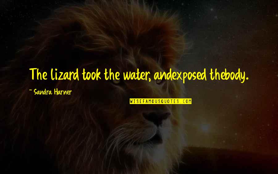 Water And Healing Quotes By Sandra Harner: The lizard took the water, andexposed thebody.