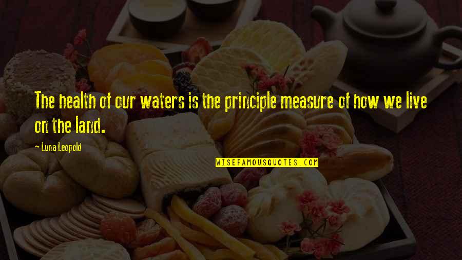 Water And Health Quotes By Luna Leopold: The health of our waters is the principle