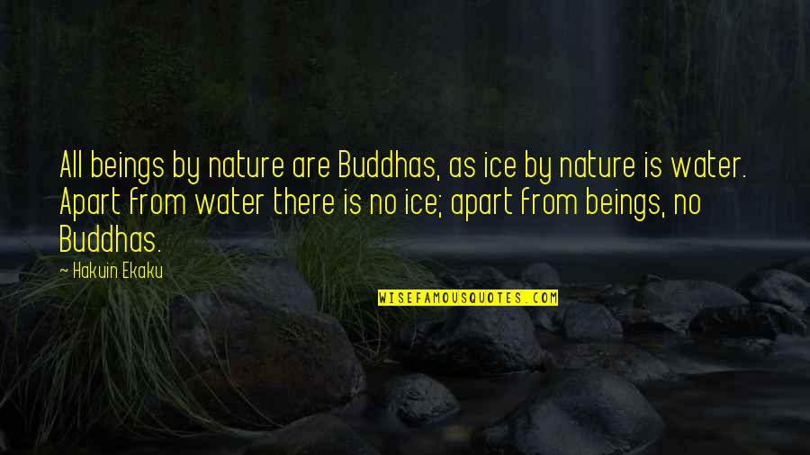 Water And Ice Quotes By Hakuin Ekaku: All beings by nature are Buddhas, as ice