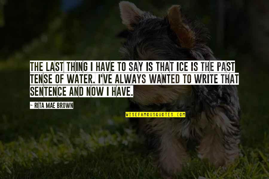 Water And Ice Quotes By Rita Mae Brown: The last thing I have to say is Water And Ice Quotes By Rita Mae Brown: The last thing I have to say is