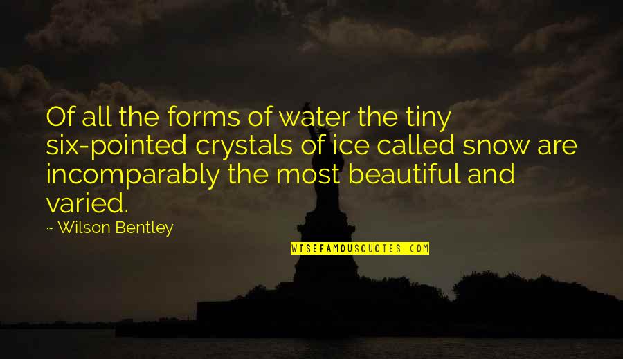 Water And Ice Quotes By Wilson Bentley: Of all the forms of water the tiny Water And Ice Quotes By Wilson Bentley: Of all the forms of water the tiny