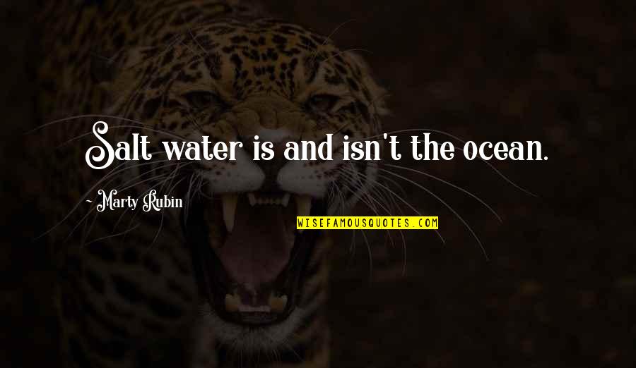 Water And Ocean Quotes By Marty Rubin: Salt water is and isn't the ocean.