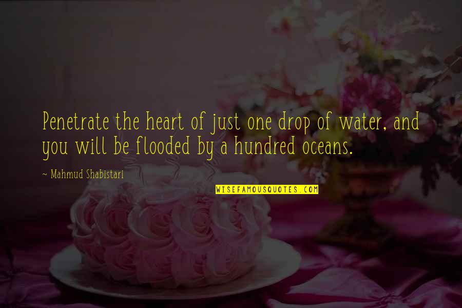 Water And Oceans Quotes By Mahmud Shabistari: Penetrate the heart of just one drop of Water And Oceans Quotes By Mahmud Shabistari: Penetrate the heart of just one drop of