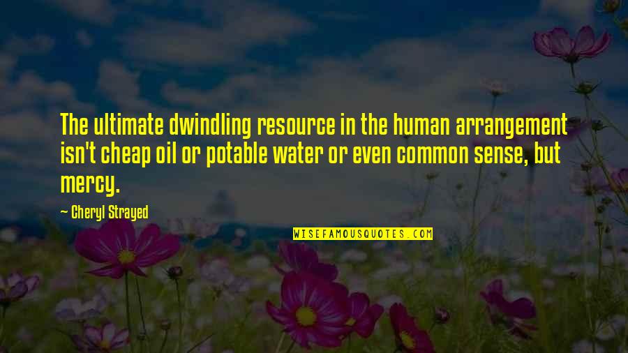 Water And Oil Quotes By Cheryl Strayed: The ultimate dwindling resource in the human arrangement
