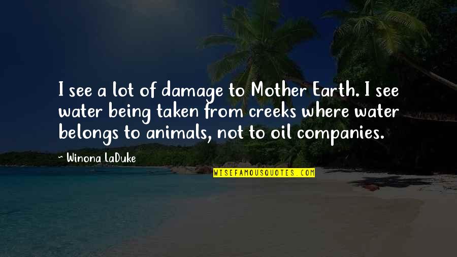 Water And Oil Quotes By Winona LaDuke: I see a lot of damage to Mother