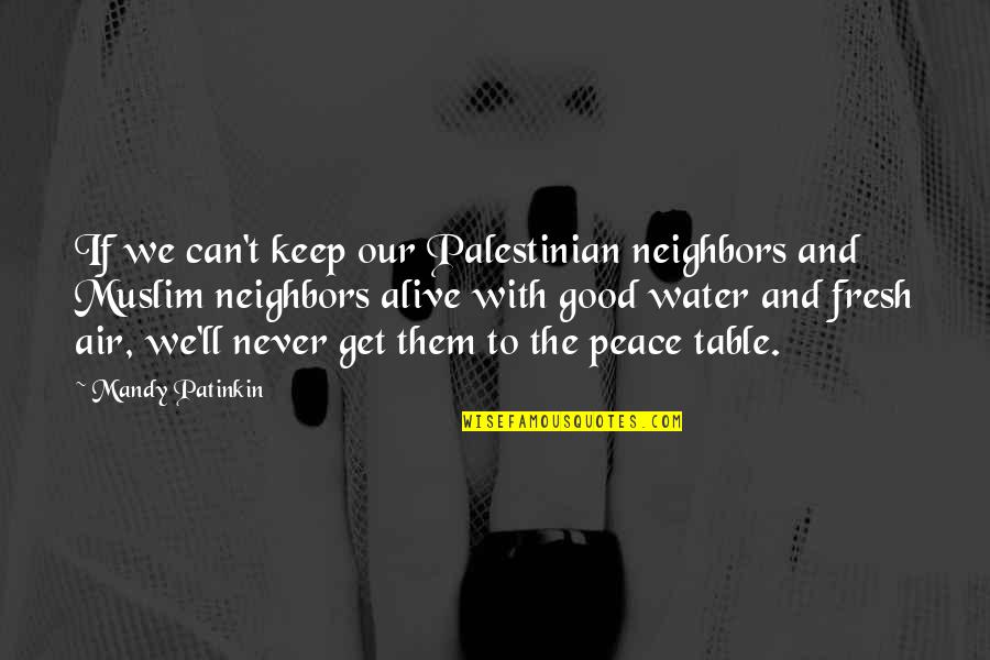 Water And Peace Quotes By Mandy Patinkin: If we can't keep our Palestinian neighbors and