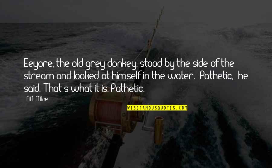 Water And Quotes By A.A. Milne: Eeyore, the old grey donkey, stood by the